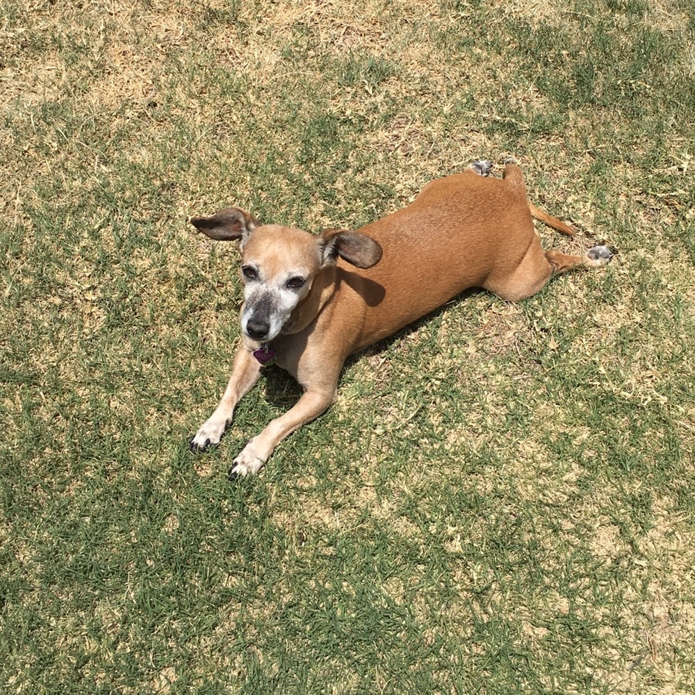 Meet your Posher, Victoria